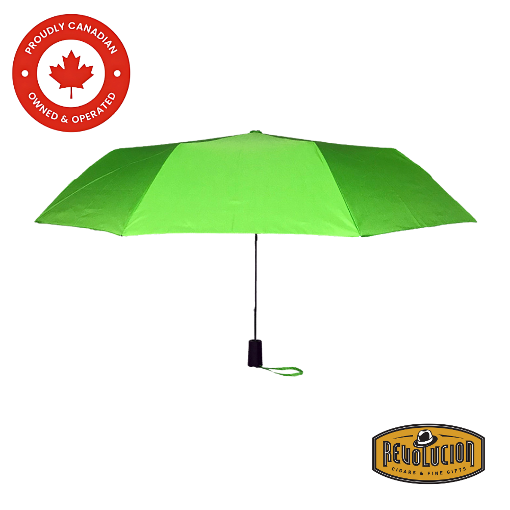 Light green Vancouver Auto Mini umbrella with a slim profile and automatic opening functionality.
