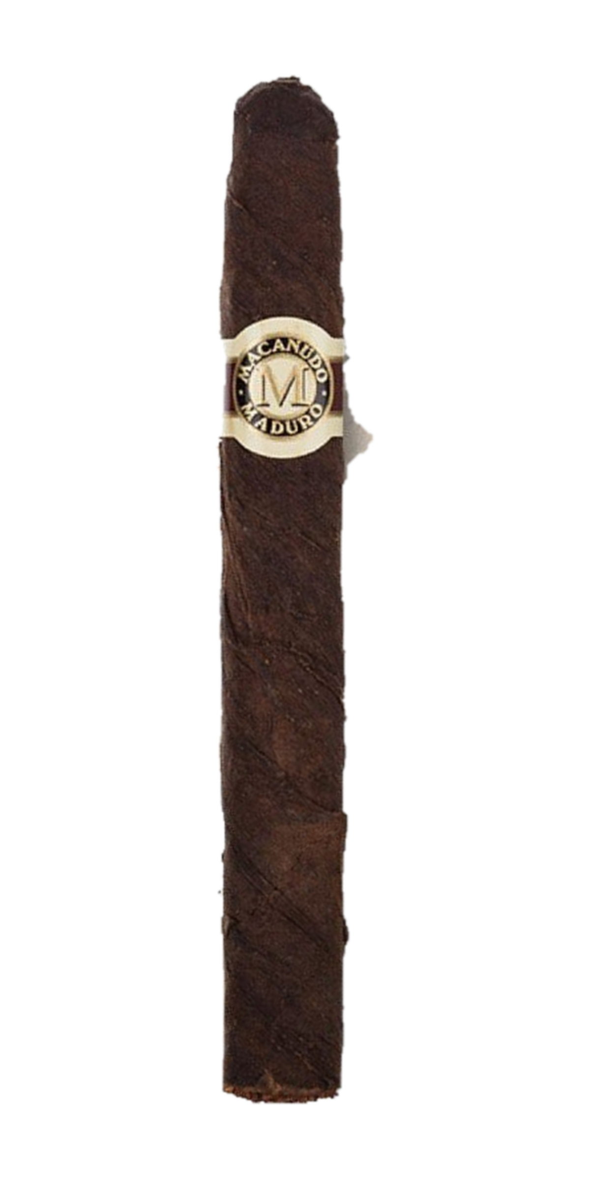 Macanudo Maduro Ascot cigarillo with a dark Connecticut broadleaf maduro wrapper and gold Macanudo Maduro band