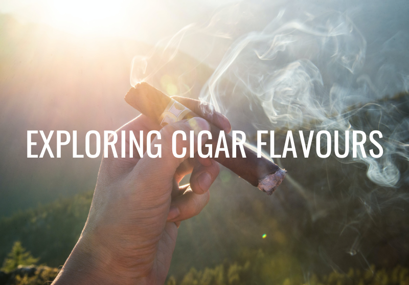 From Sweet to Nutty: Exploring the Diverse Cigar Flavour Profiles