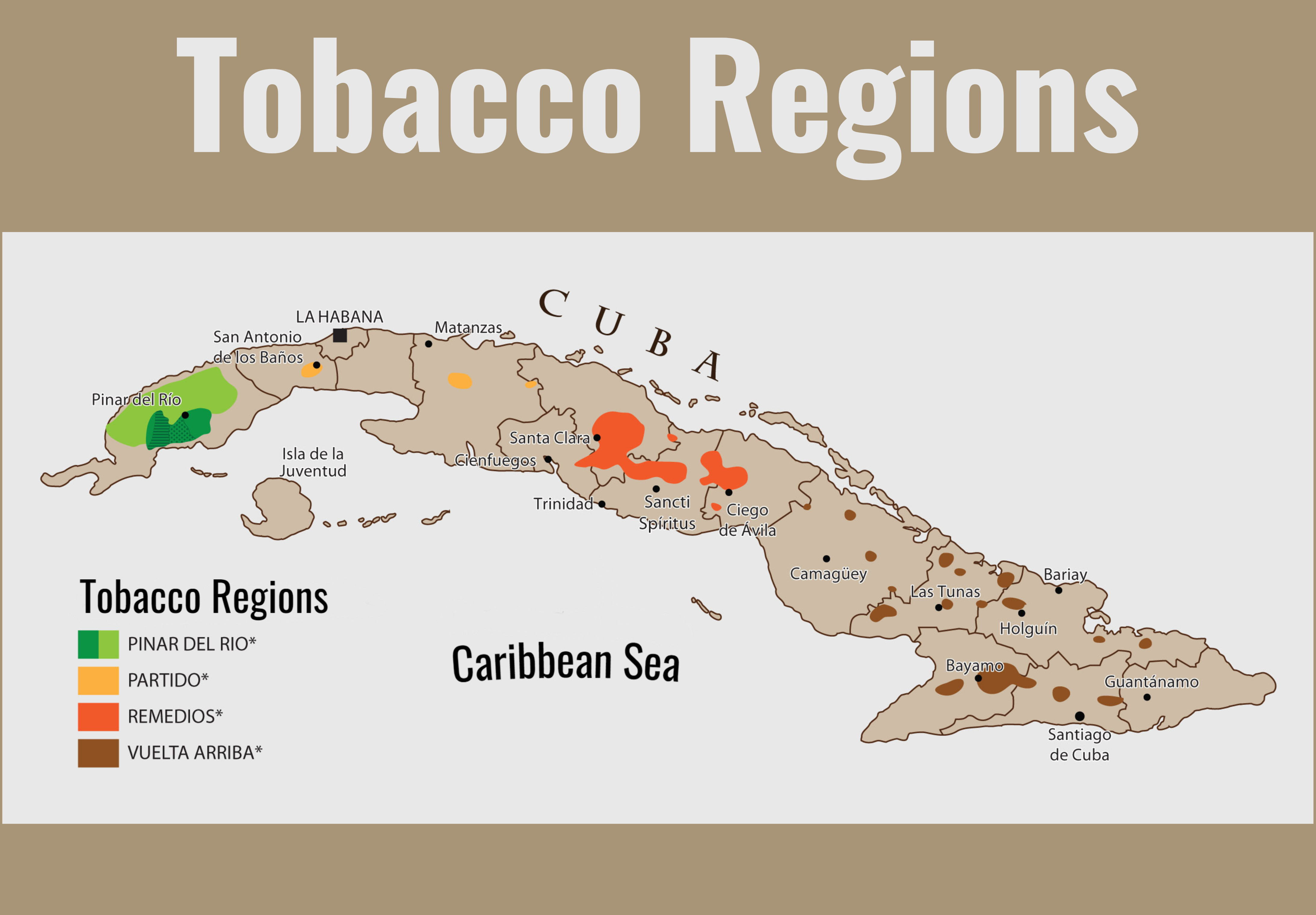 A Sensory Journey Through Cuba's Finest Tobacco Tradition