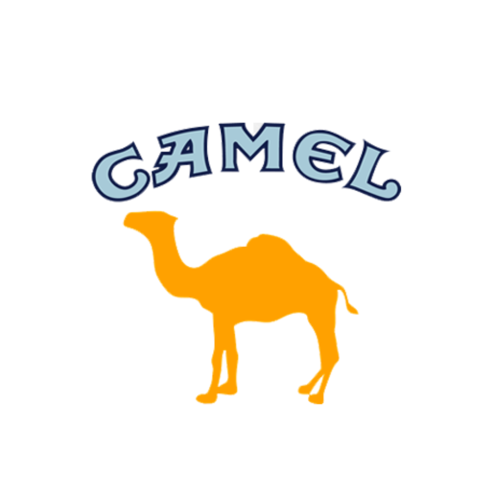 CAMEL