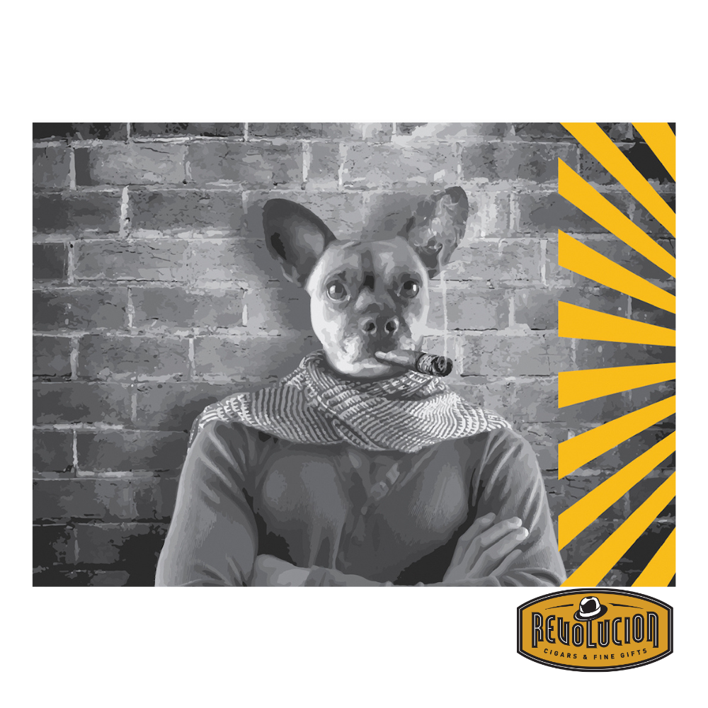 A stylish black-and-white illustration of a dog with human-like features, dressed in a scarf and sweater, confidently smoking a cigar. The background features a textured brick wall with a modern yellow sunburst design in the corner, adding a bold artistic touch.
