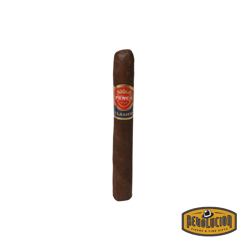 Punch London Club Corona Maduro Medium-Full Strength Honduran Cigar with dark oily wrapper, presented individually on a rustic cigar tray.