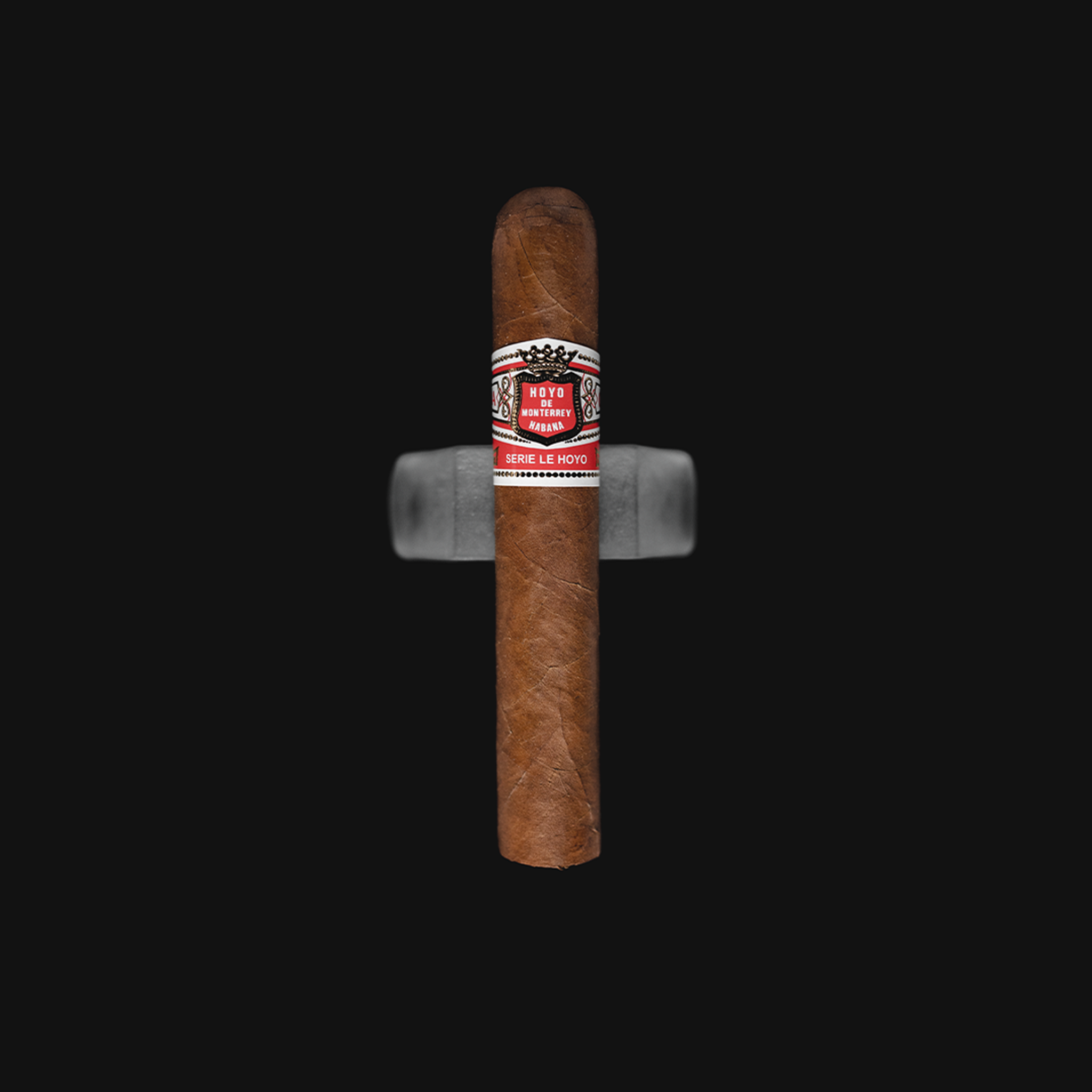 Hoyo de Monterrey Rio Seco Robusto Extra Cuban Cigars displayed front-facing, showcasing their elegant band and smooth wrapper.
