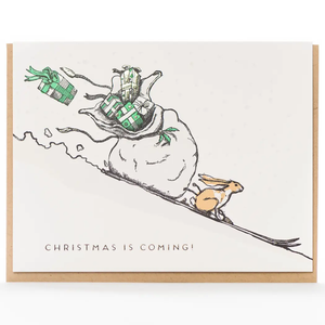 cho070020b-Christmas-is-coming-rabbit